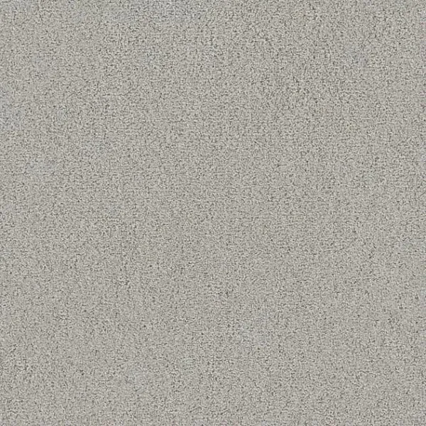 Draufsicht Girloon TWIN Teppichboden Velours 500 Schiefer, 2/4 m breit